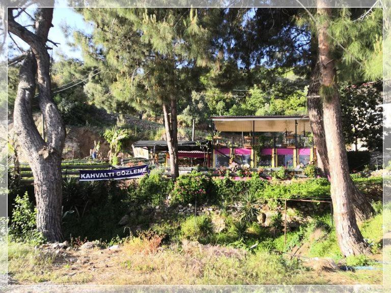 Zeytinada Pansiyon ve Gözleme Guneykoy Dış mekan fotoğraf