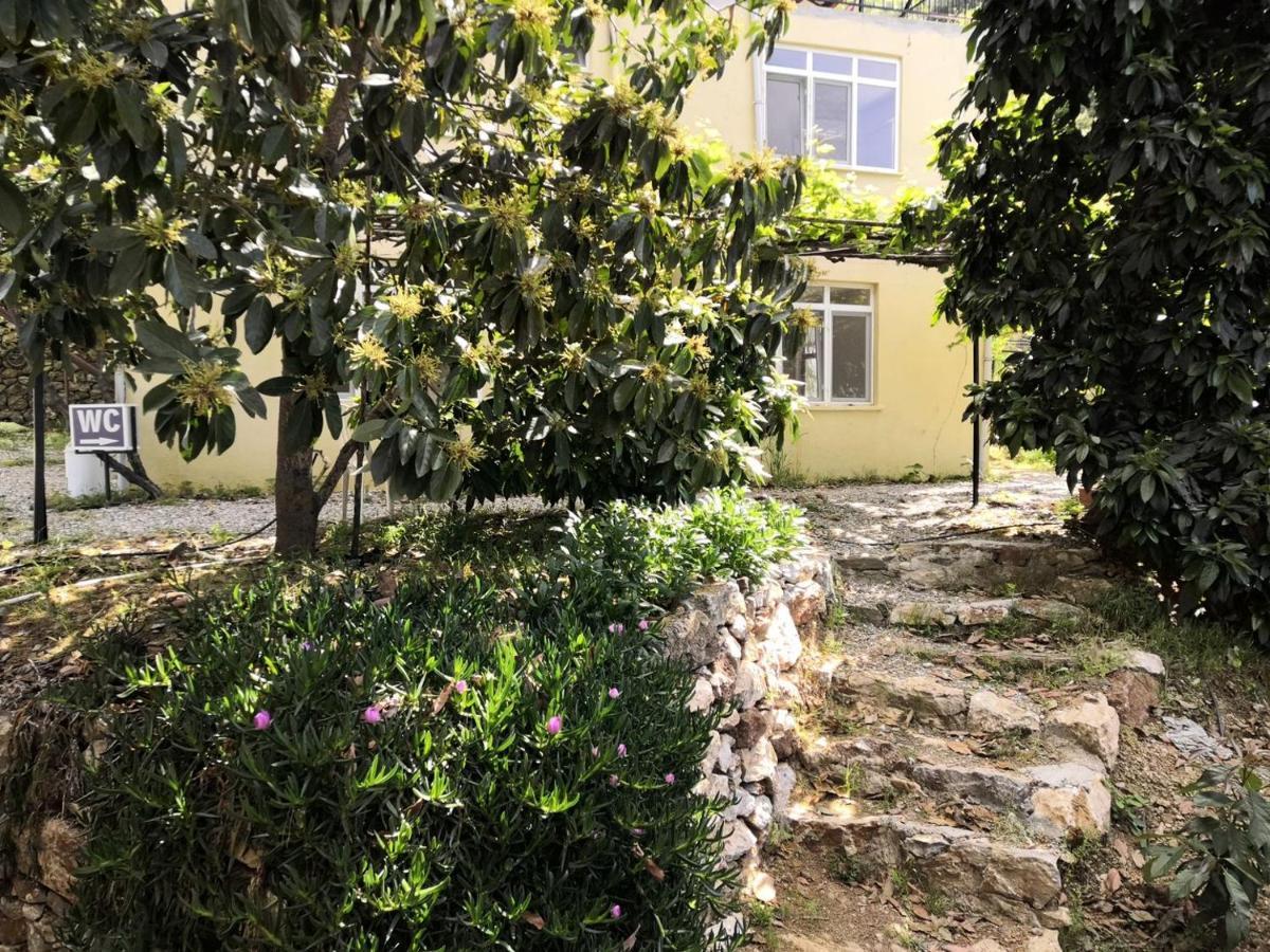 Zeytinada Pansiyon ve Gözleme Guneykoy Dış mekan fotoğraf