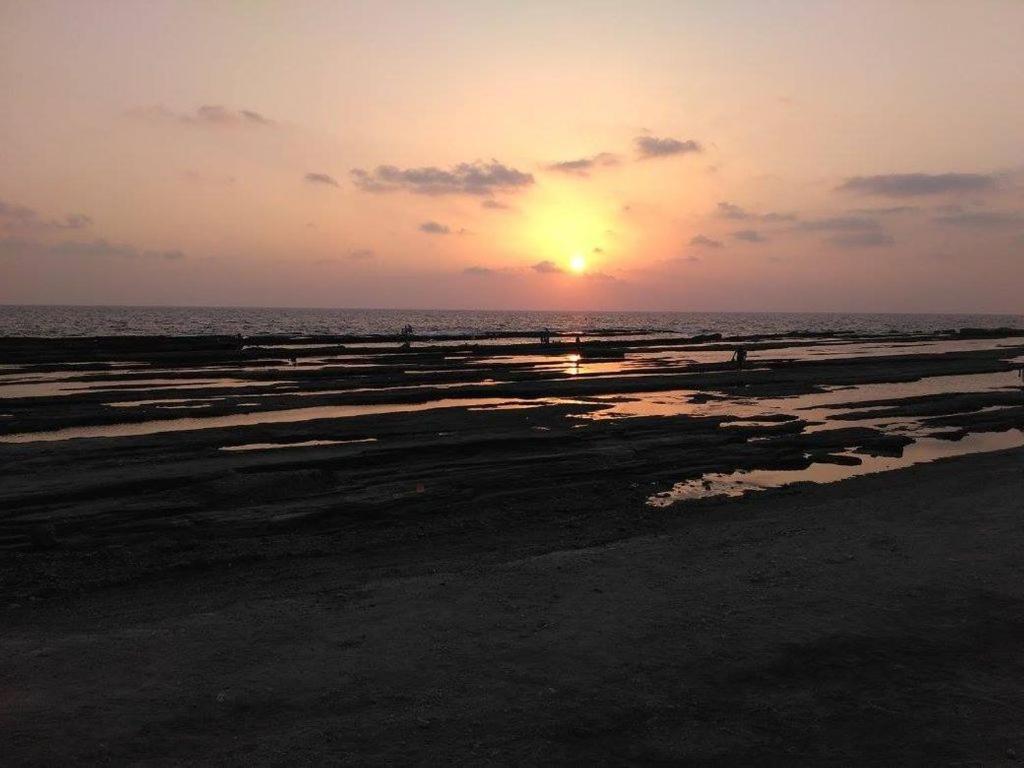 Zeytinada Pansiyon ve Gözleme Guneykoy Dış mekan fotoğraf