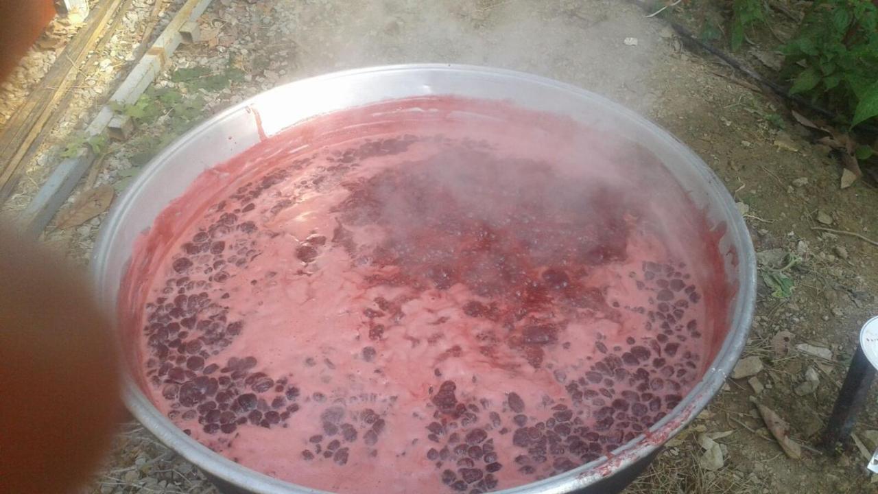 Zeytinada Pansiyon ve Gözleme Guneykoy Dış mekan fotoğraf