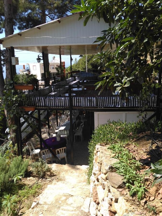 Zeytinada Pansiyon ve Gözleme Guneykoy Dış mekan fotoğraf