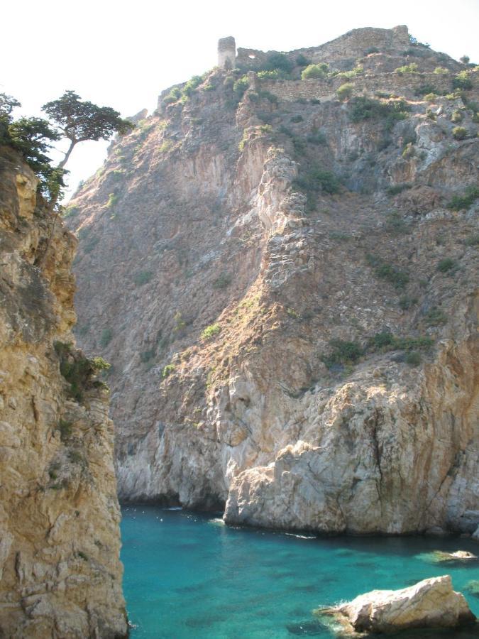 Zeytinada Pansiyon ve Gözleme Guneykoy Dış mekan fotoğraf
