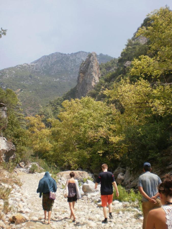 Zeytinada Pansiyon ve Gözleme Guneykoy Dış mekan fotoğraf