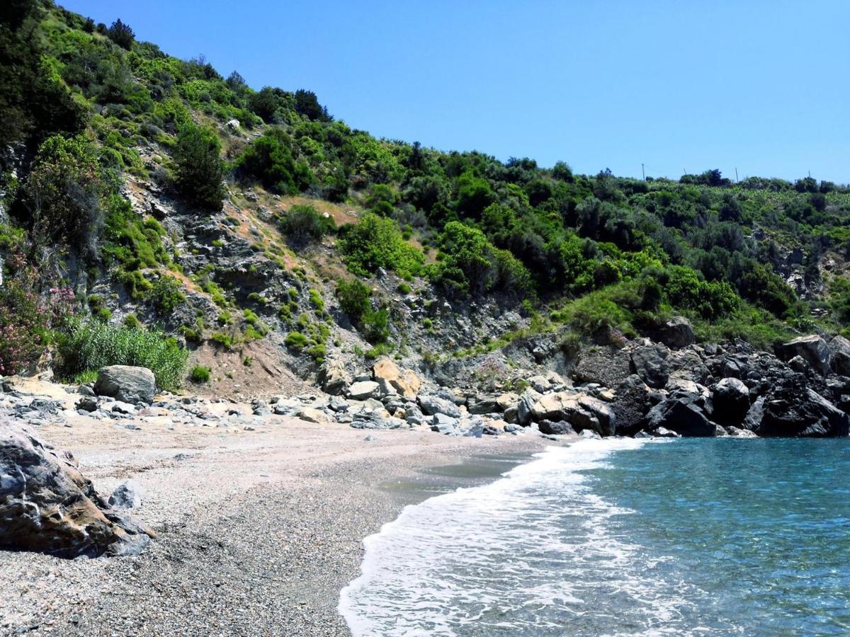 Zeytinada Pansiyon ve Gözleme Guneykoy Dış mekan fotoğraf