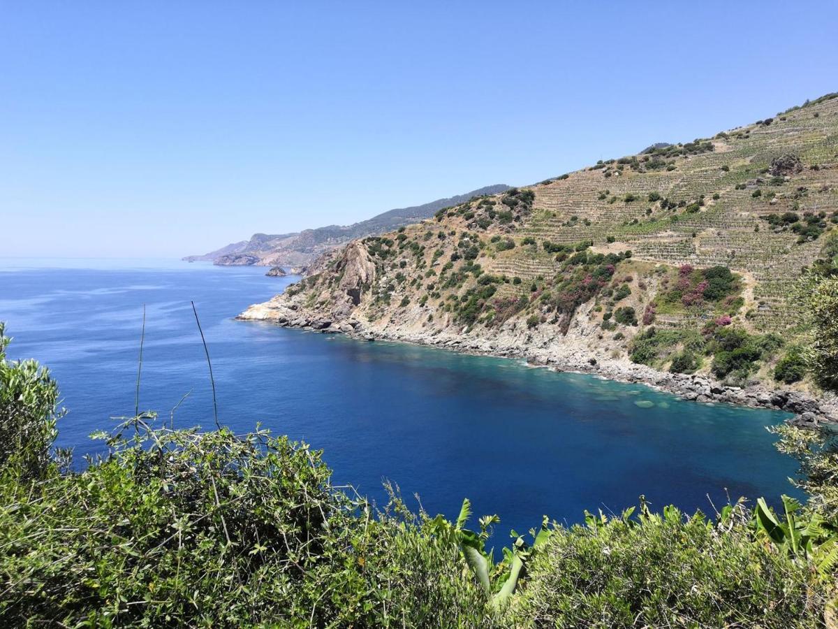 Zeytinada Pansiyon ve Gözleme Guneykoy Dış mekan fotoğraf